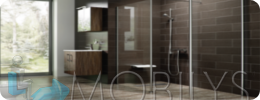 L'accessibilité pour le particulier salle de bains intro